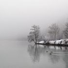 Nebel über´m Königssee