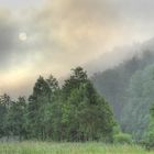 Nebel überm Radweg