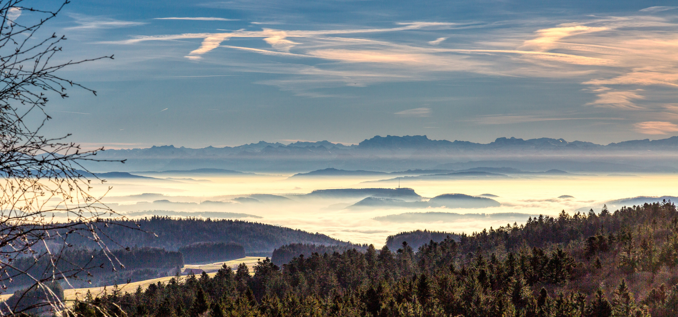 Nebel überm Rheintal