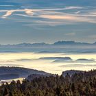 Nebel überm Rheintal