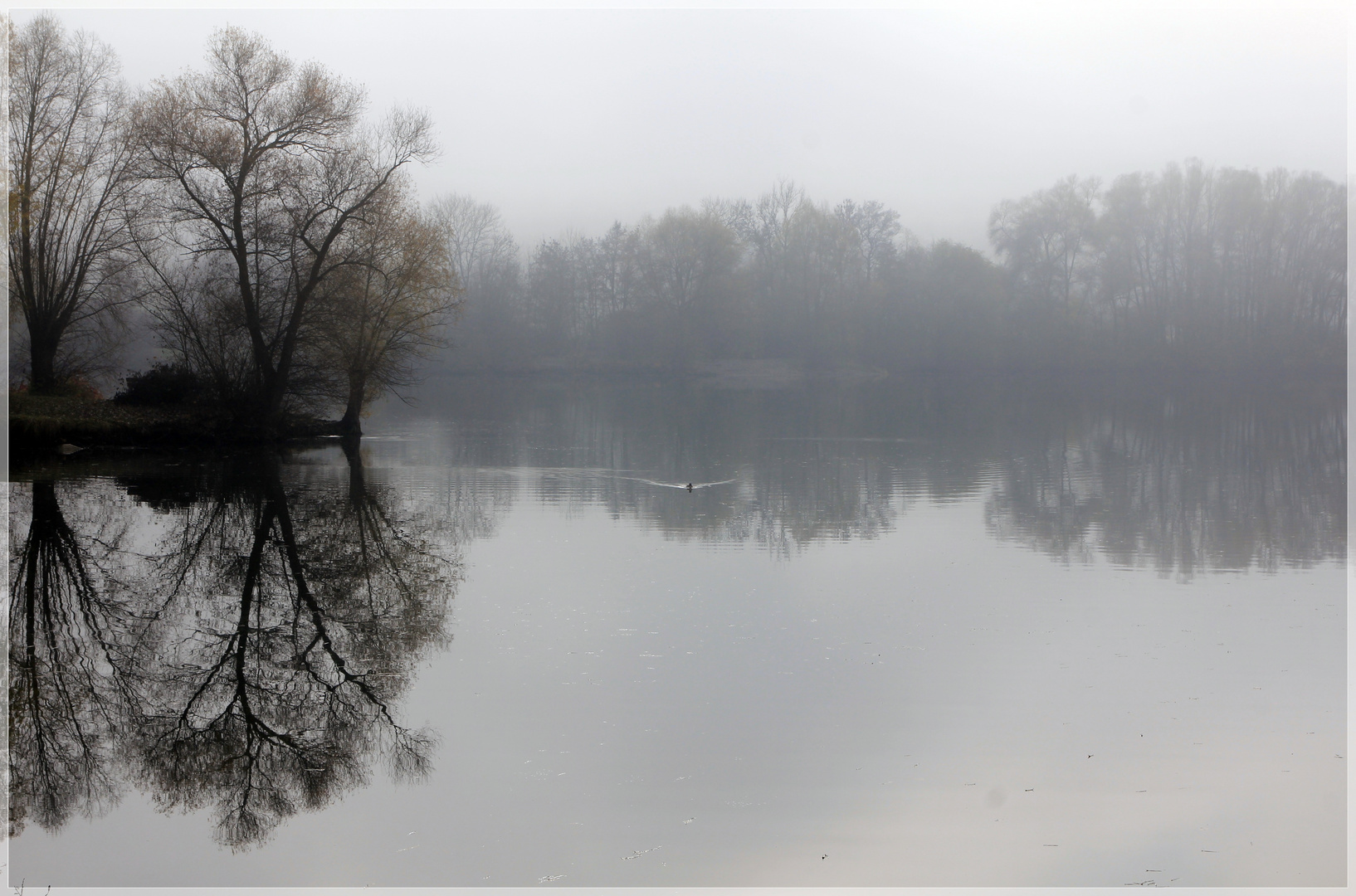 Nebel überm See