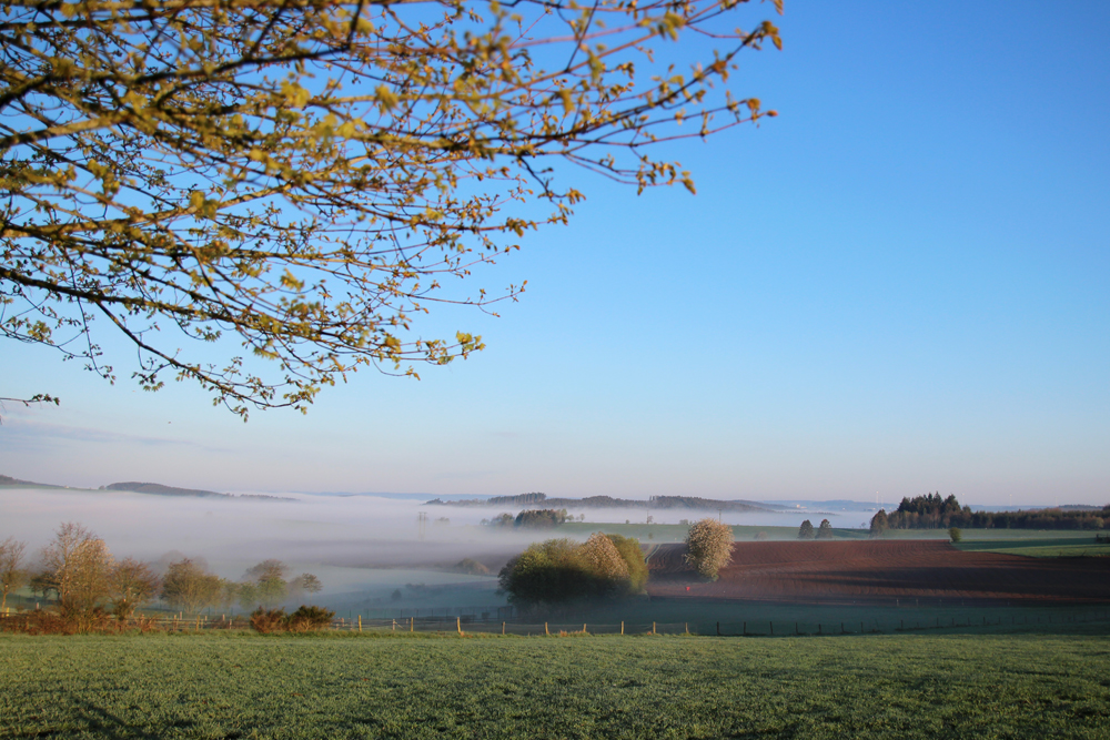 Nebel überm Tal