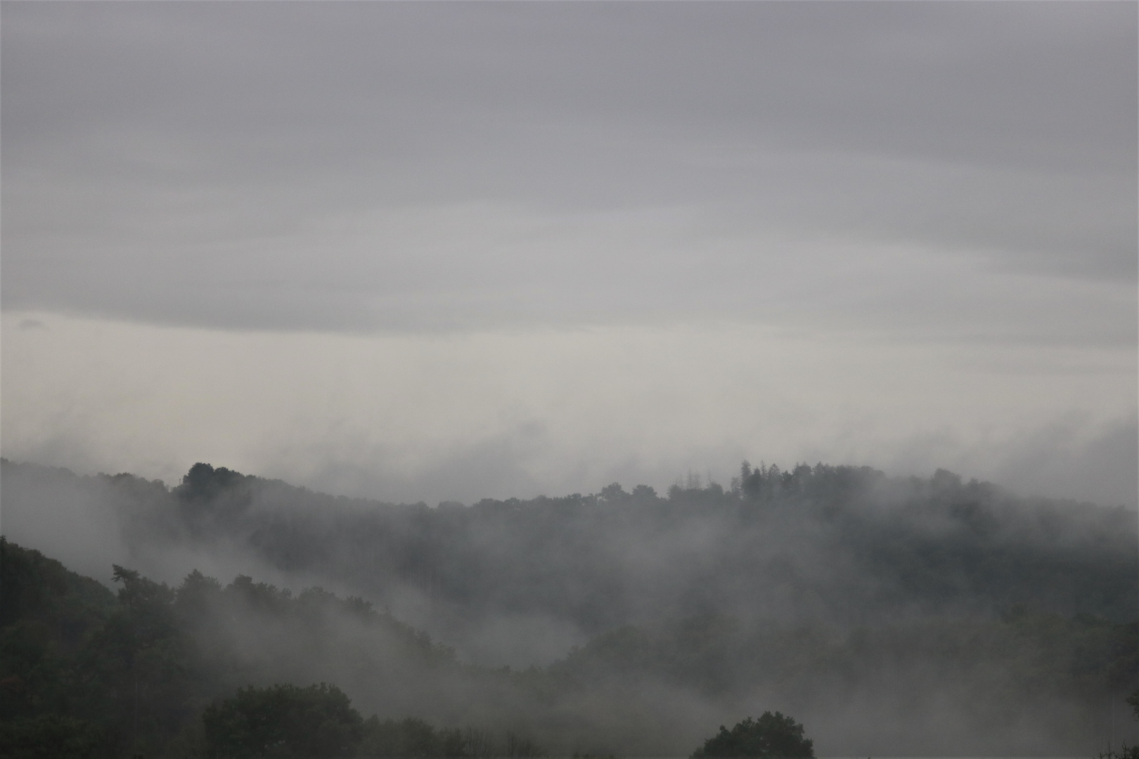 Nebel überm Westerwald