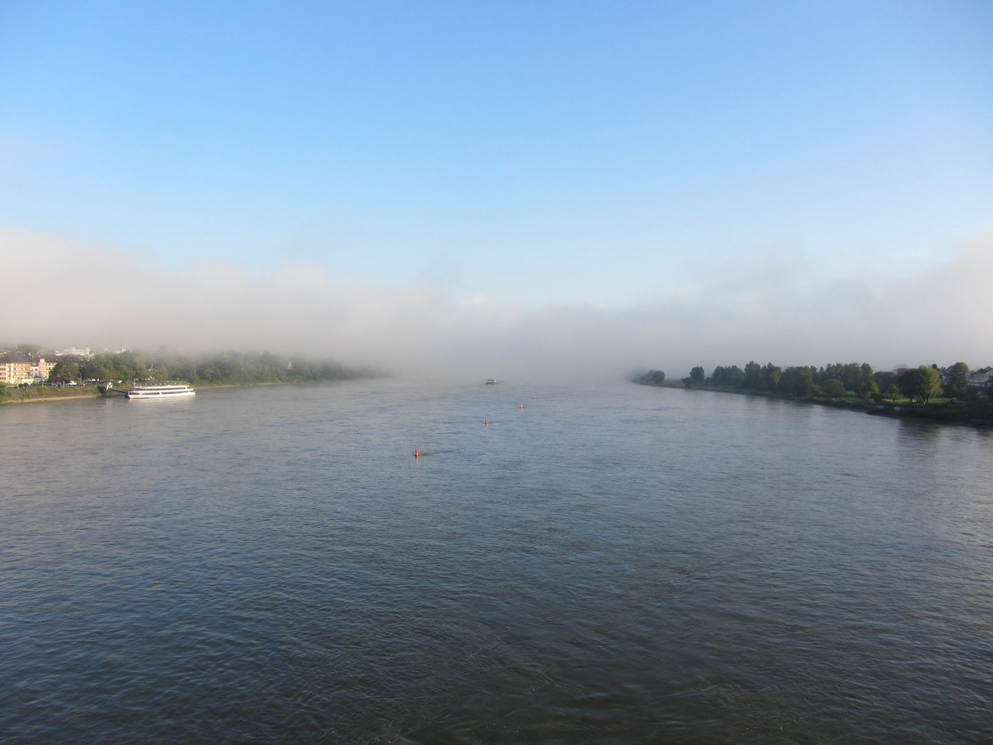 Nebel über'n Rhein - am Morgen