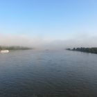 Nebel über'n Rhein - am Morgen