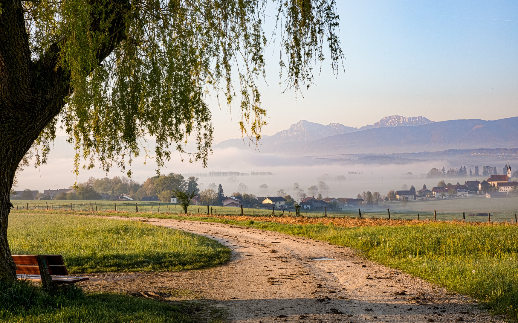 Nebel übern See Schmutz  auf der Straße