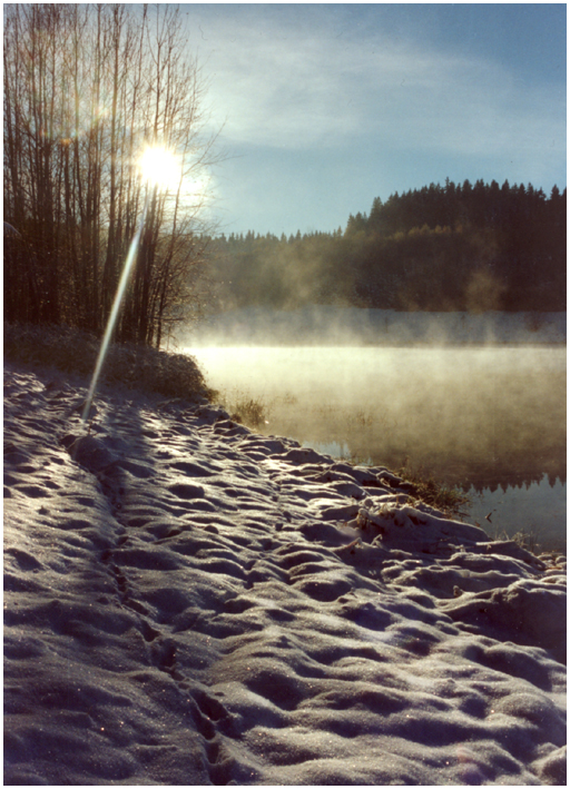 Nebel übern Wasser