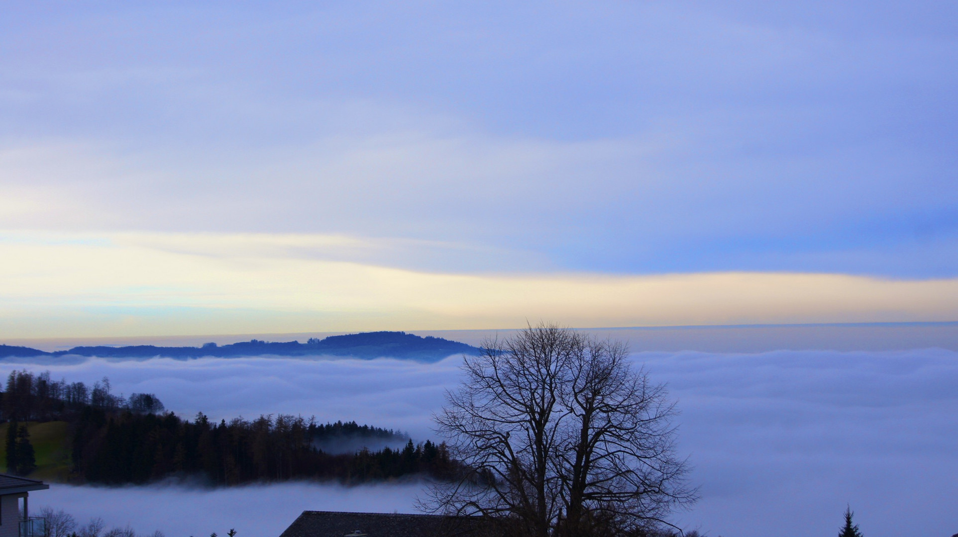 Nebel übers Land