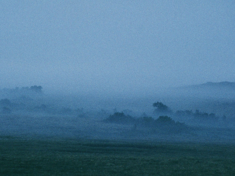 Nebel um Mitternacht