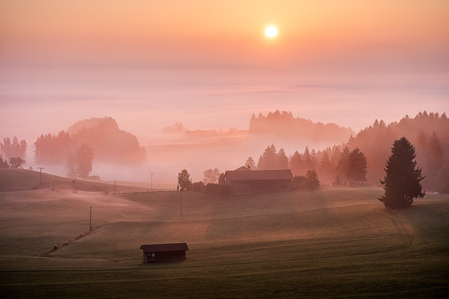 nebel und dunst