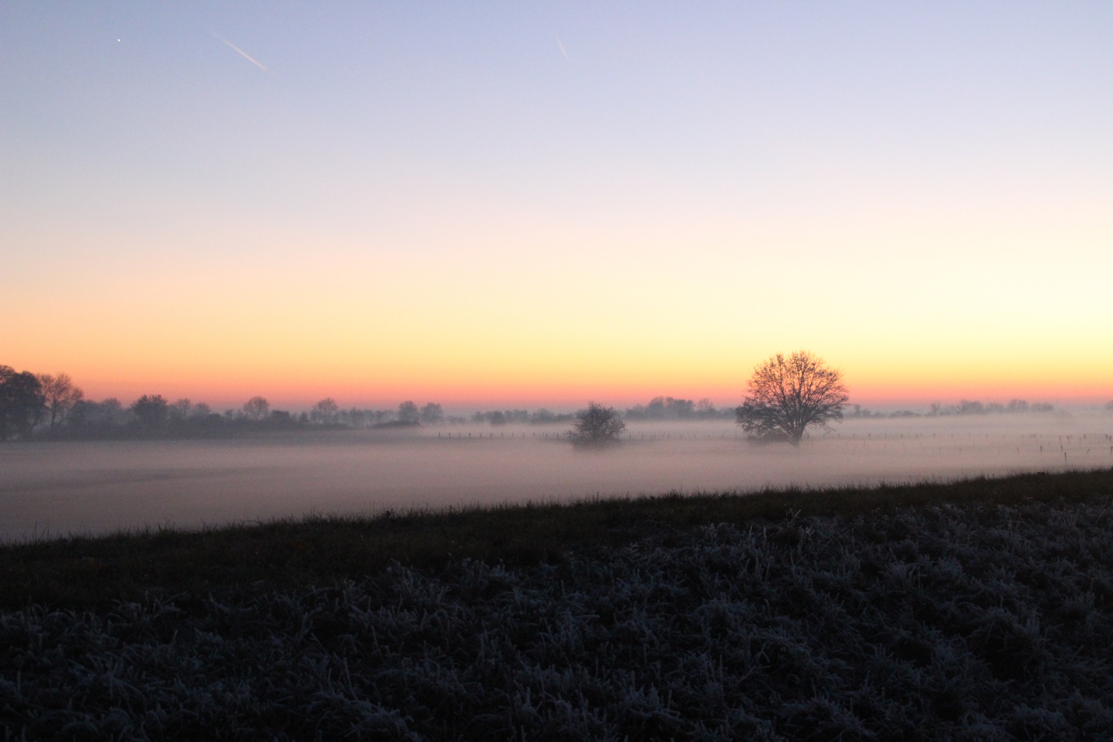 Nebel und Frost