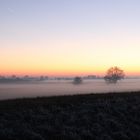 Nebel und Frost