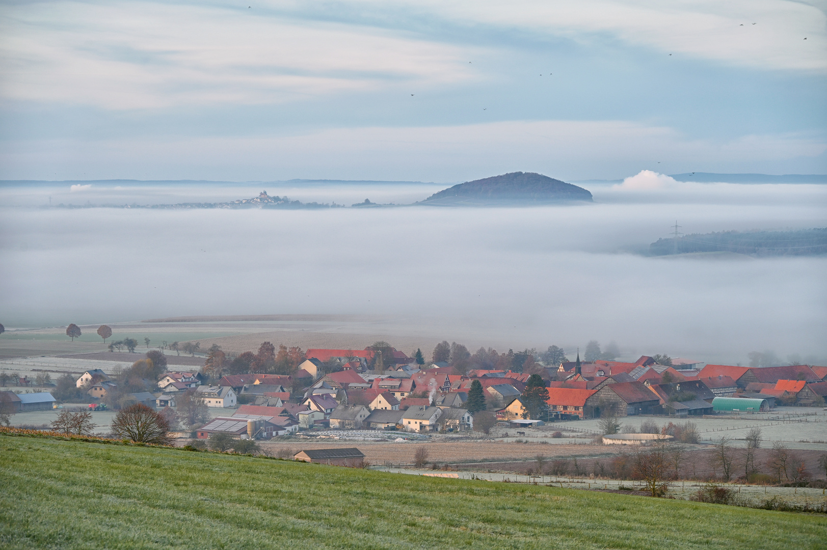 Nebel und Frost....