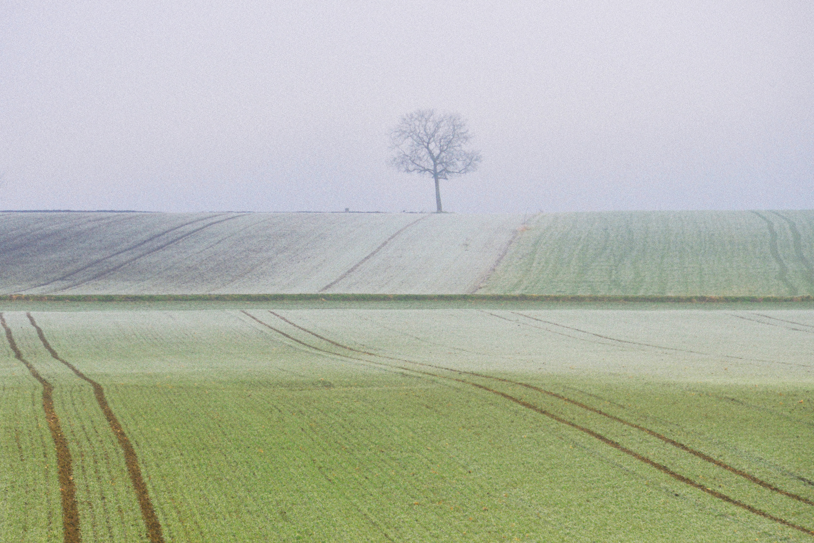 Nebel und Frost als Firnis...