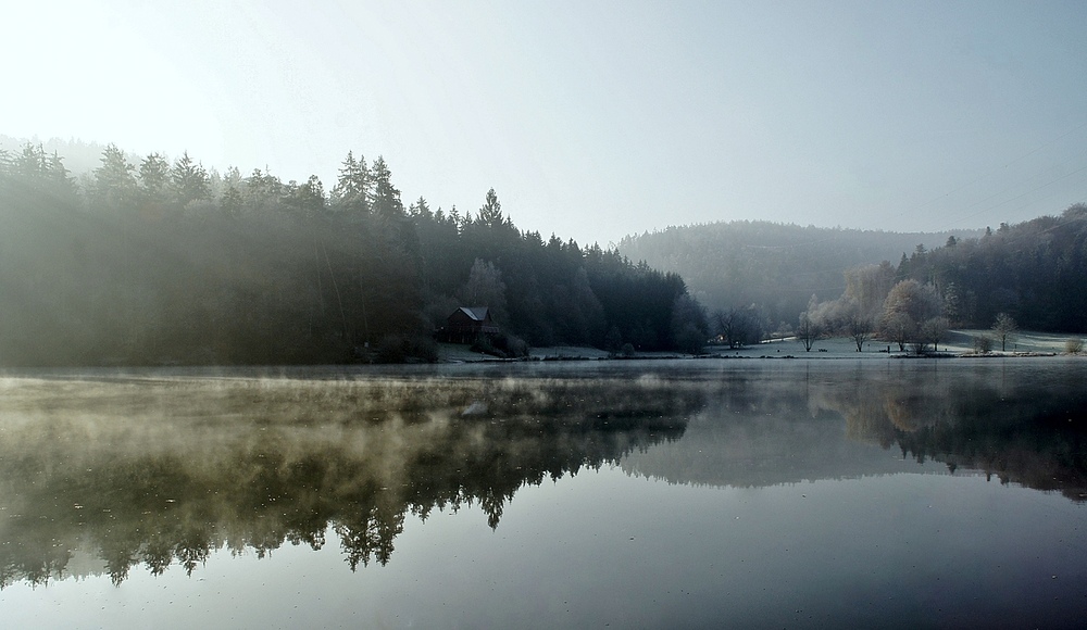 Nebel und Frost am See ( 3 )