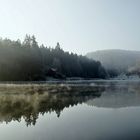 Nebel und Frost am See ( 3 )