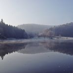 Nebel und Frost am See