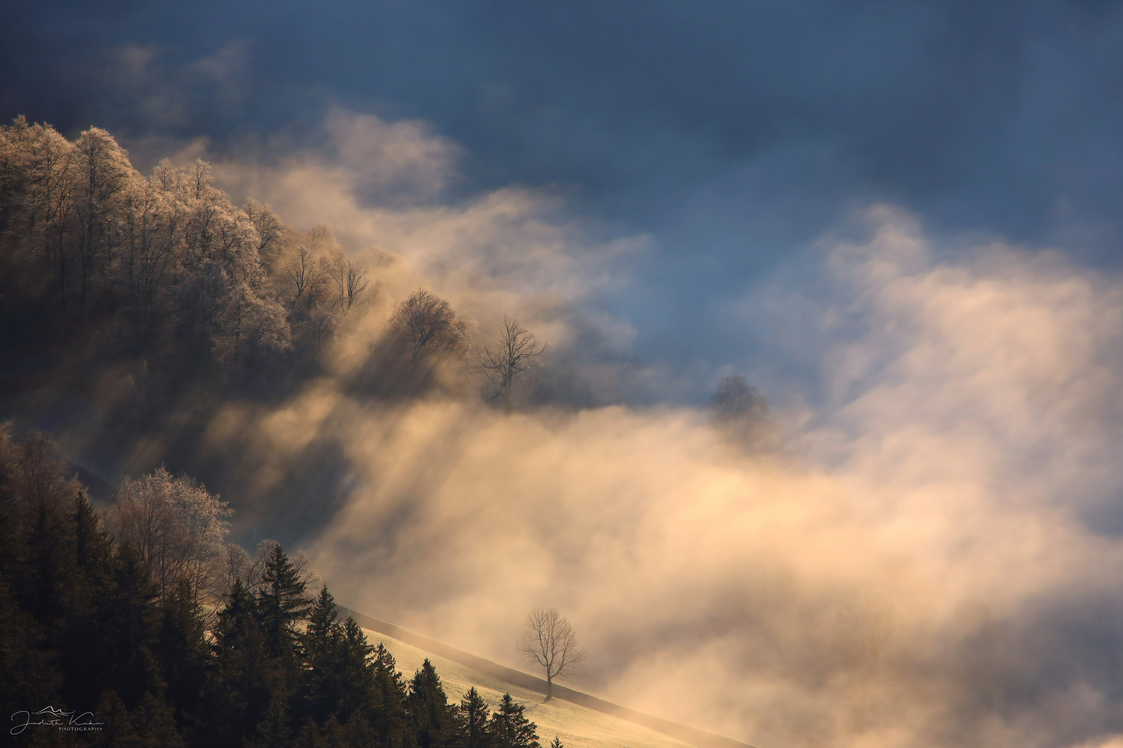 Nebel und Frost