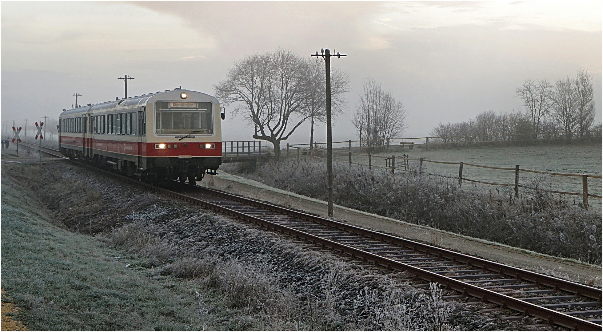 Nebel und Frost