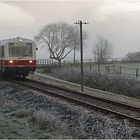 Nebel und Frost