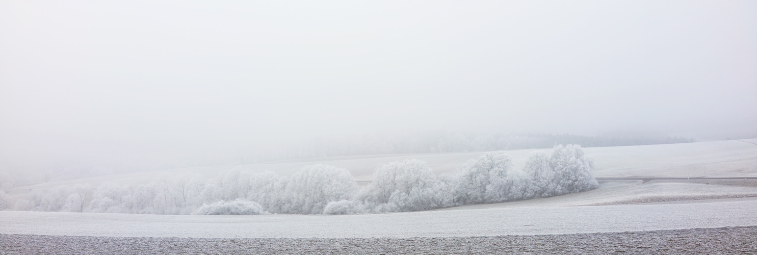 Nebel und Frost,