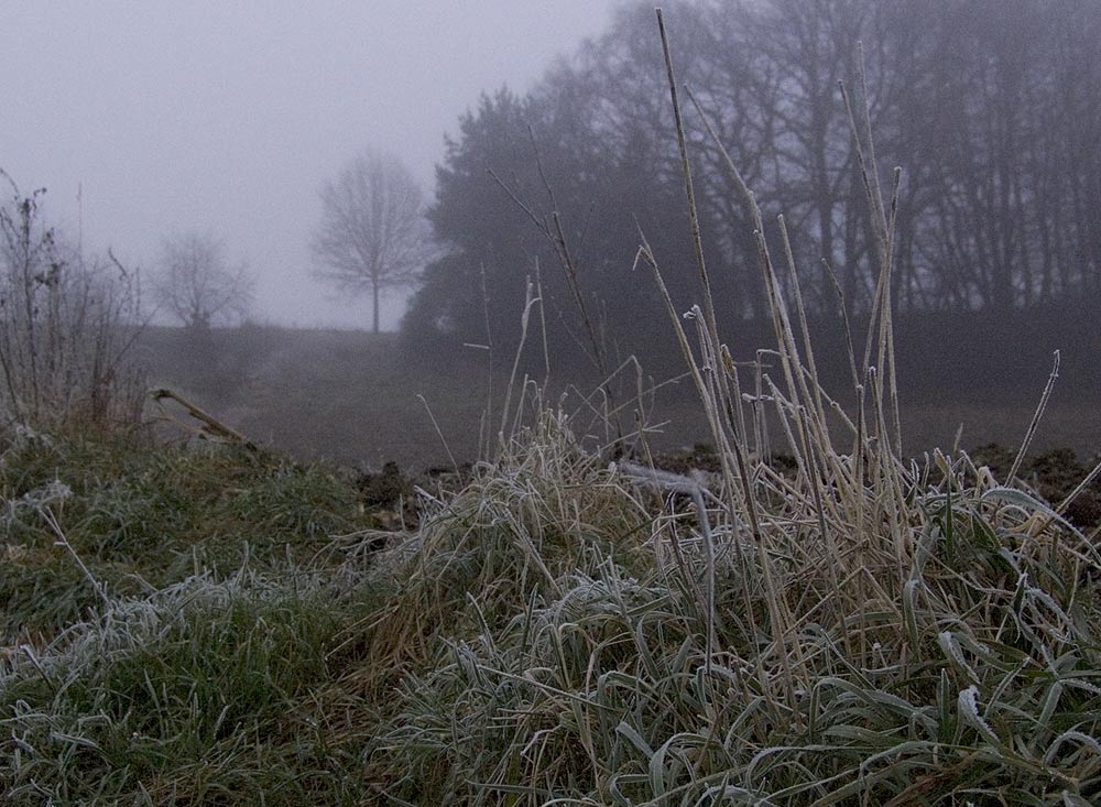 Nebel und Frost von Markus Griebling