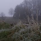 Nebel und Frost