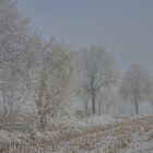 Nebel und Frost im Dezember