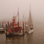 Nebel und Hafen