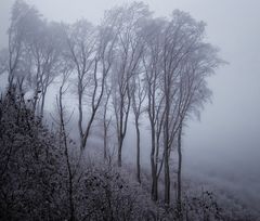 Nebel und Hochnebel, Temperaturen um 0°C