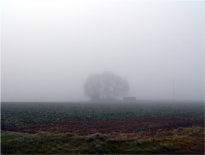 Nebel, und immer wieder Nebel