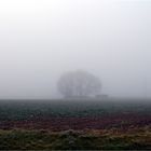 Nebel, und immer wieder Nebel