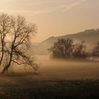 Nebel und Kälte