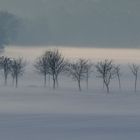 nebel und kälte