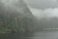 Nebel und kaum Licht.                       DSC_5928