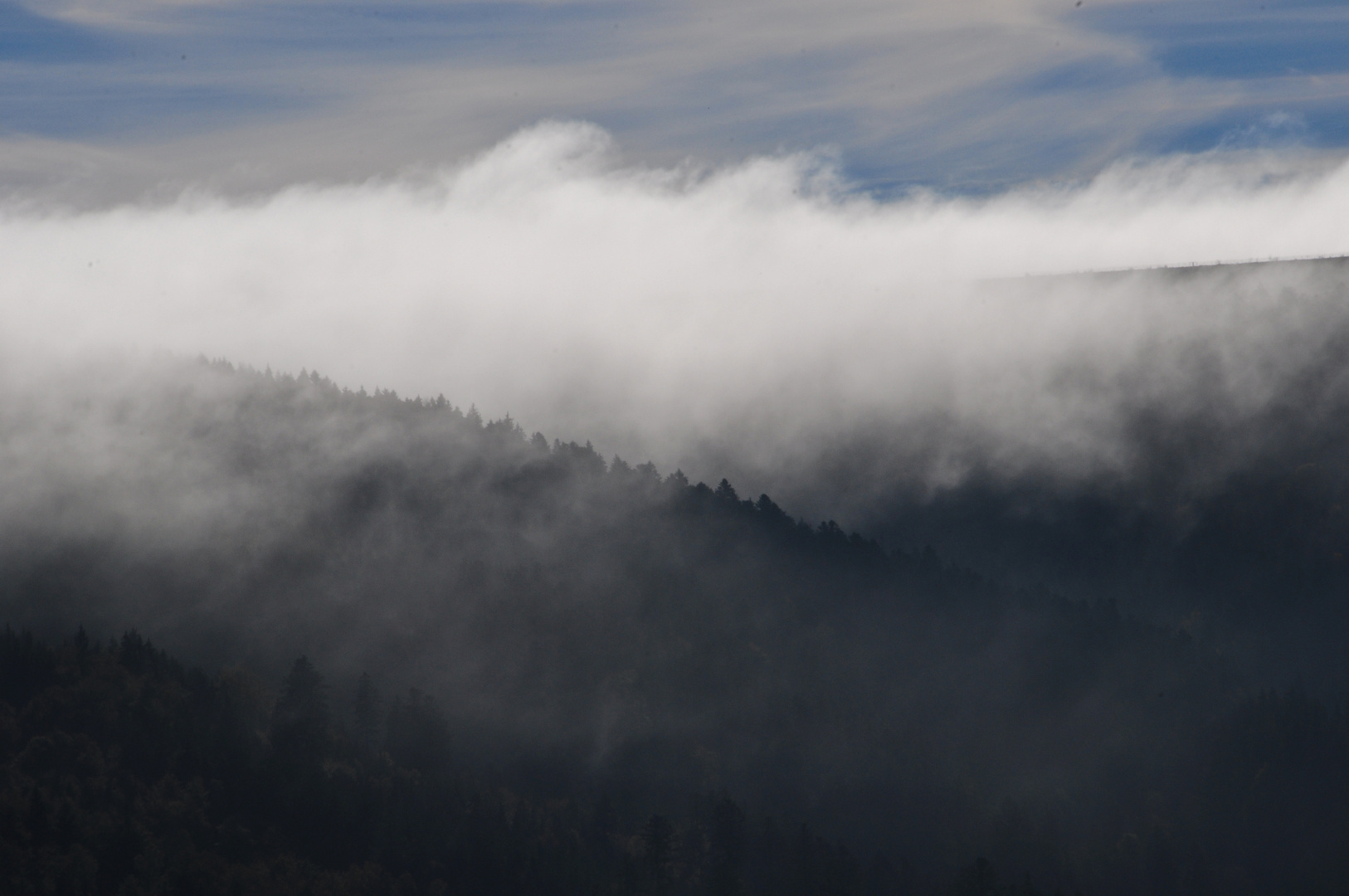 Nebel und Licht