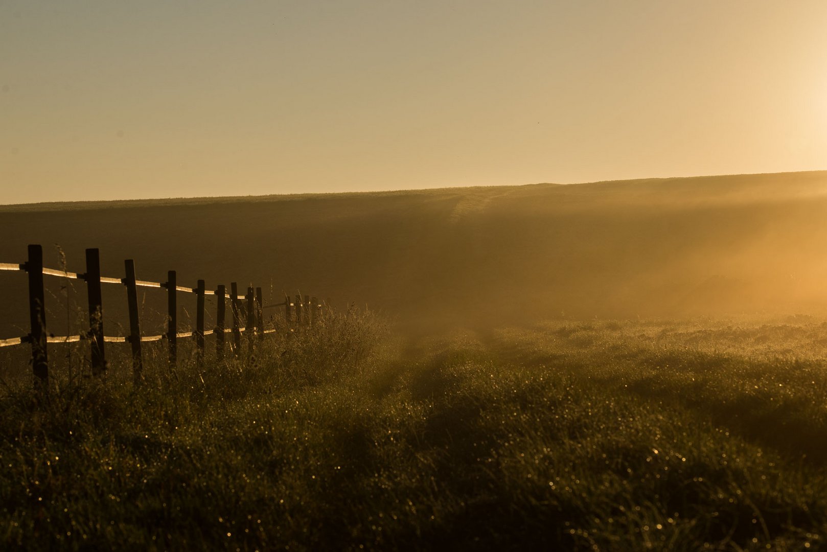 Nebel und Licht