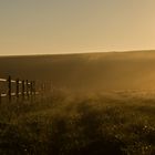 Nebel und Licht