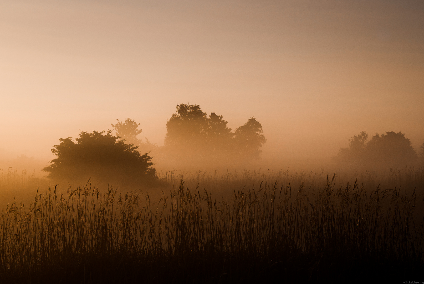 Nebel und Licht