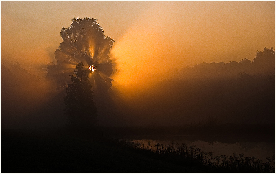 Nebel und Licht