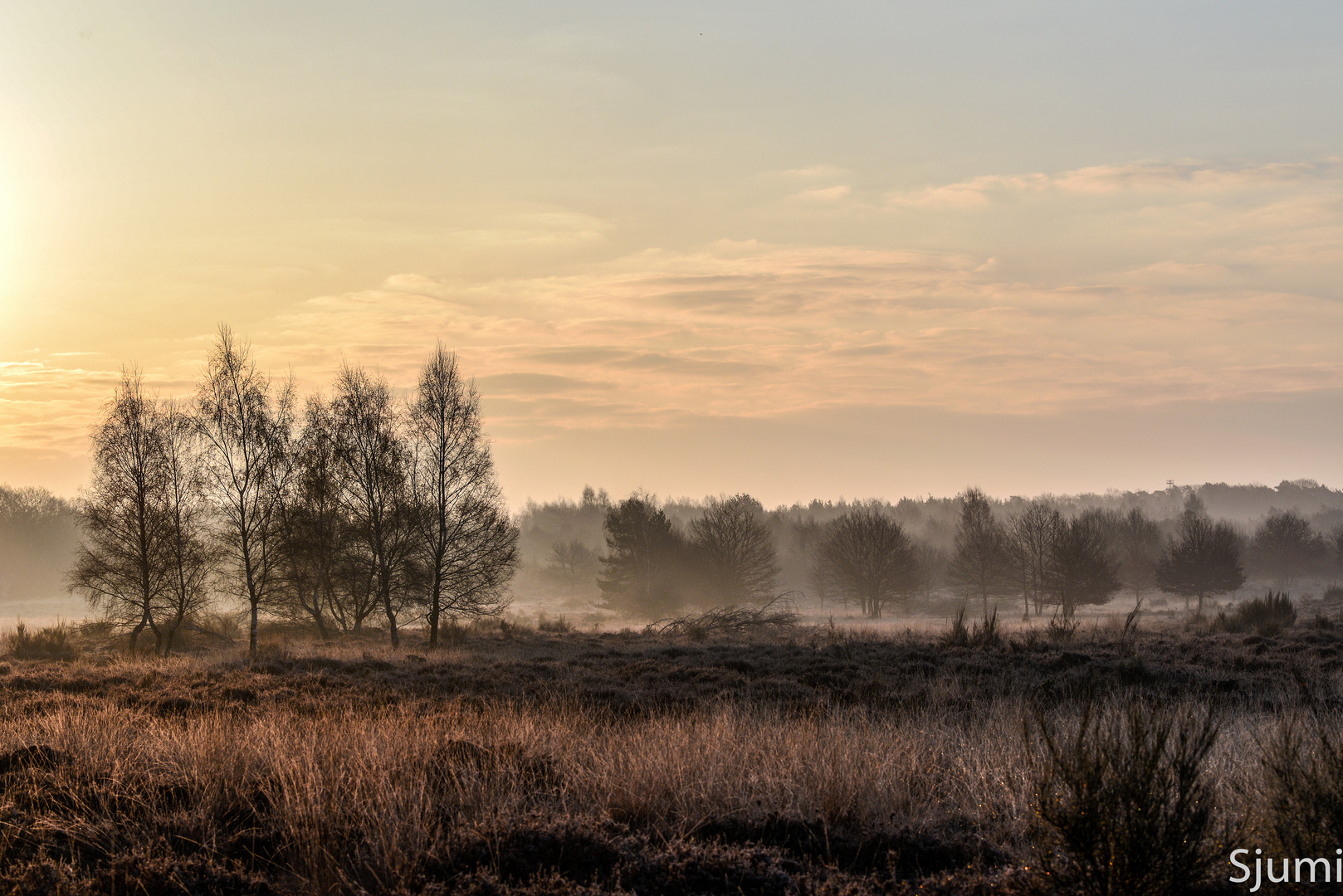 Nebel und Morgenlicht..