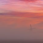 Nebel und Morgenrot