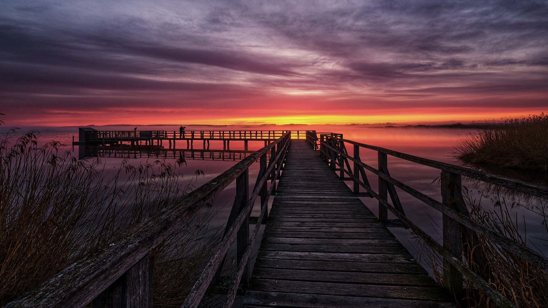 Nebel und Morgenrot am Federsee 