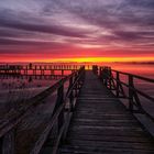 Nebel und Morgenrot am Federsee 