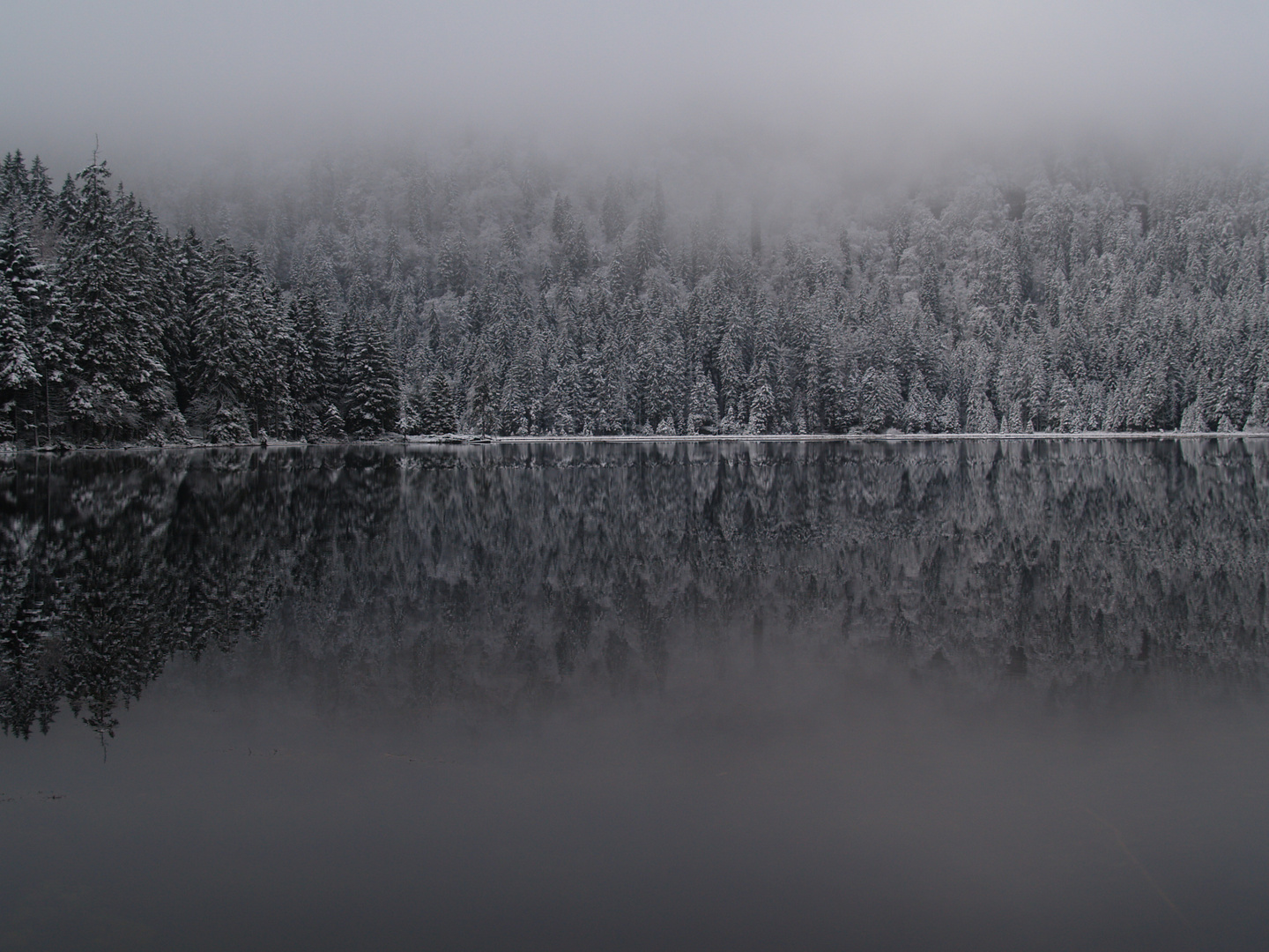 Nebel und Neuschnee am Arbersee