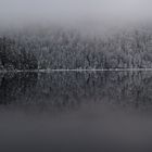 Nebel und Neuschnee am Arbersee