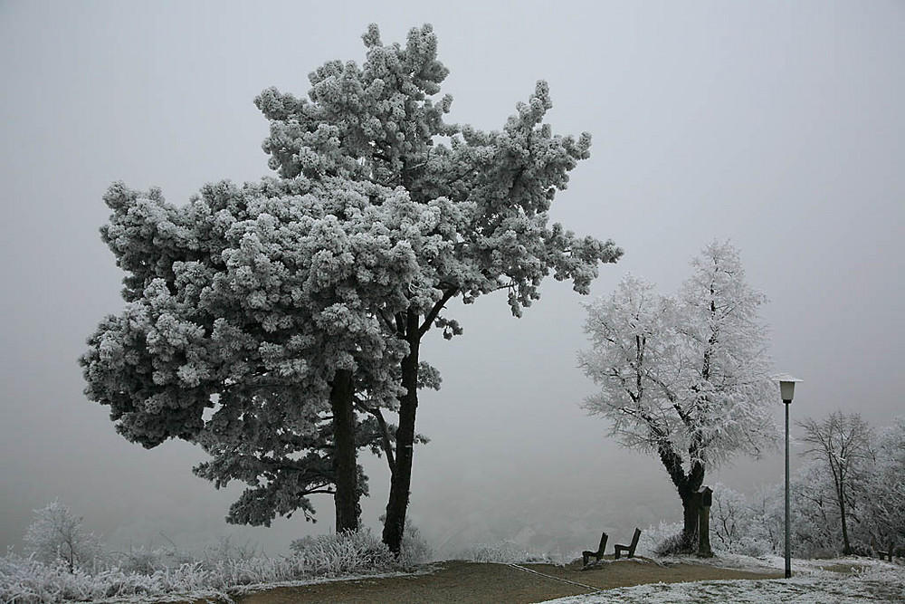 Nebel und Rauhreif