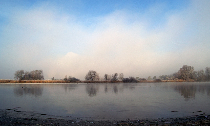 Nebel und Rauhreif am Rhein