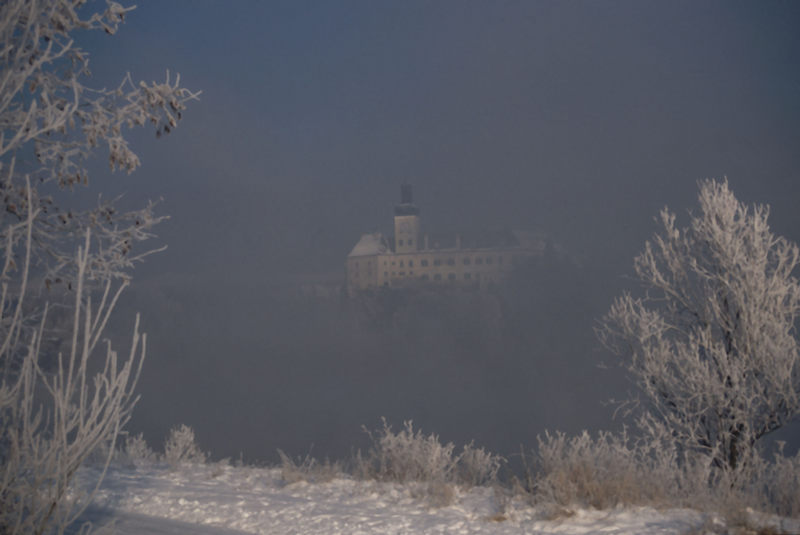 Nebel und Rauhreif