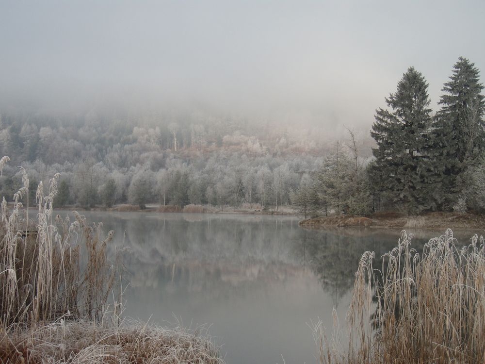 Nebel und Rauhreif